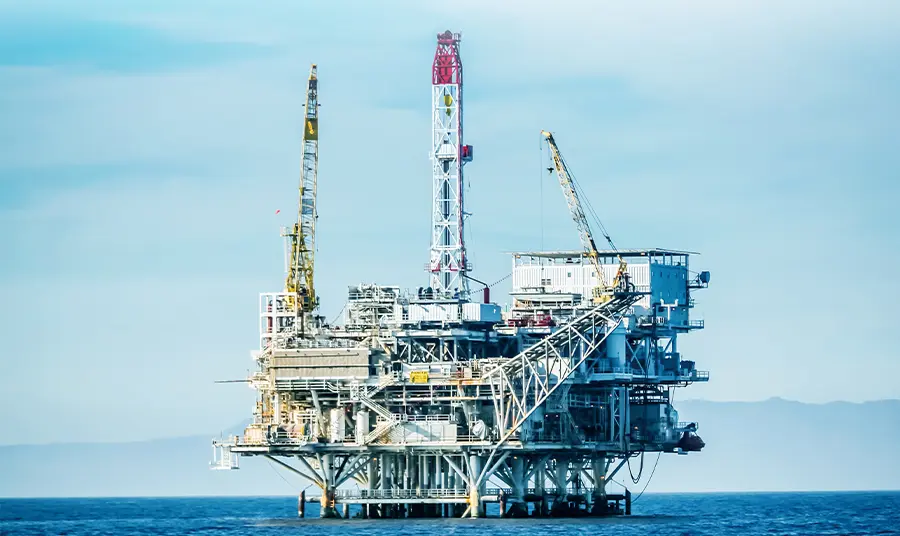 Woman examining greenhouse plants